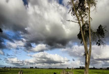 腾讯NBA有免费直播网址吗？该如何找到合规的观赛渠道？