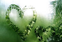 咪咕CBA免费直播是真的吗？怎么看？