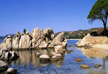 山猫体育能看NBA视频直播吗？体验到底怎么样？